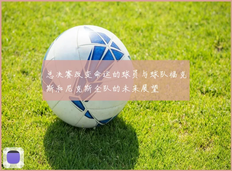 总决赛改变命运的球员与球队福克斯和尼克斯全队的未来展望
